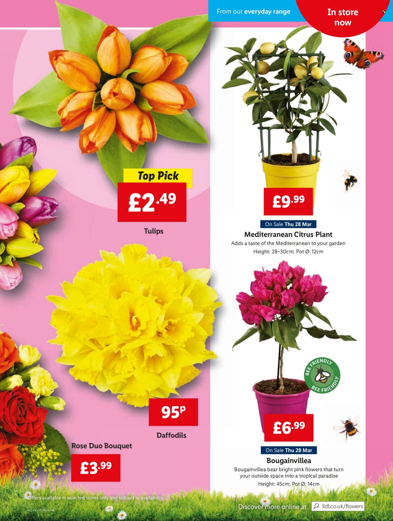 Lidl offer  - 28.3.2024 - 3.4.2024. Page 23.