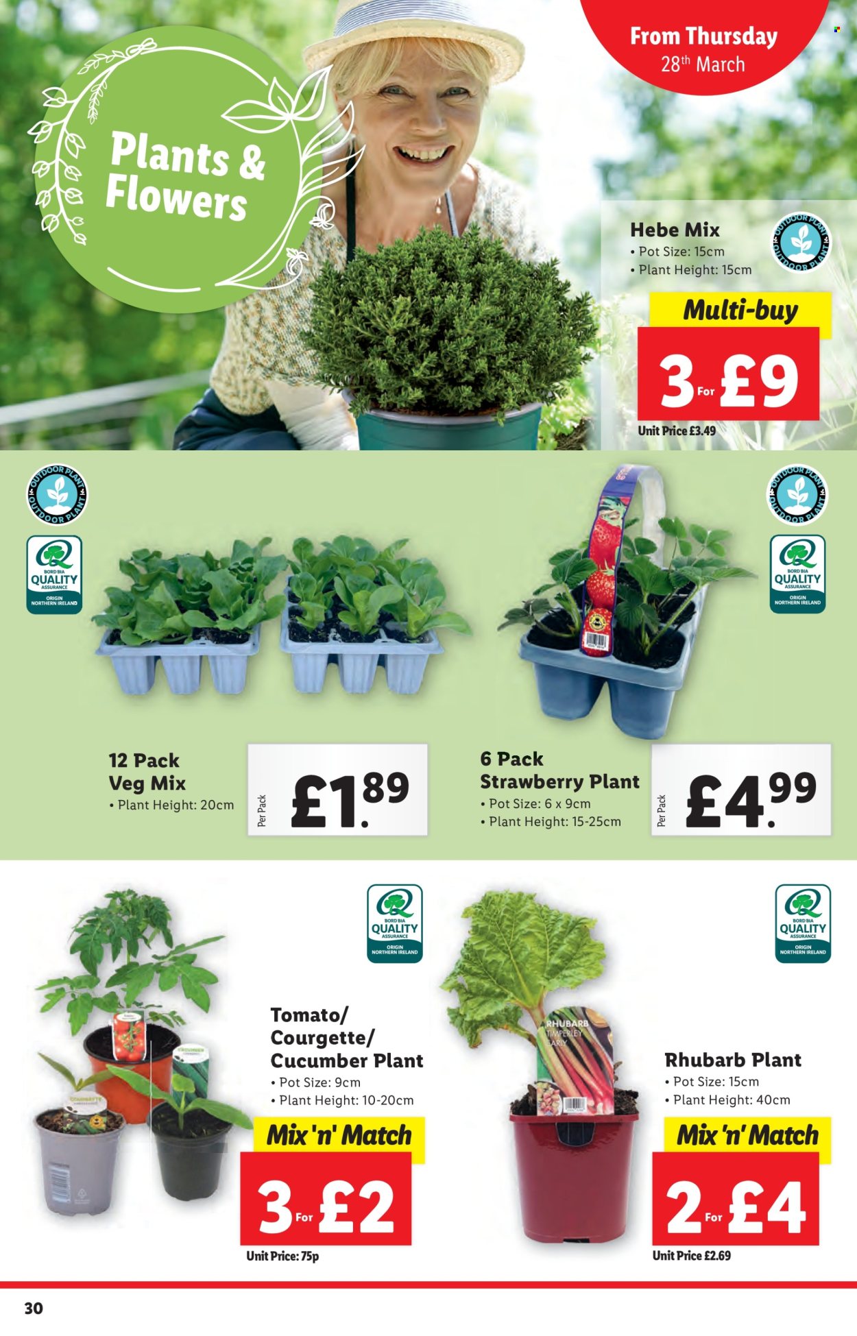 Lidl offer  - 28.3.2024 - 3.4.2024. Page 30.