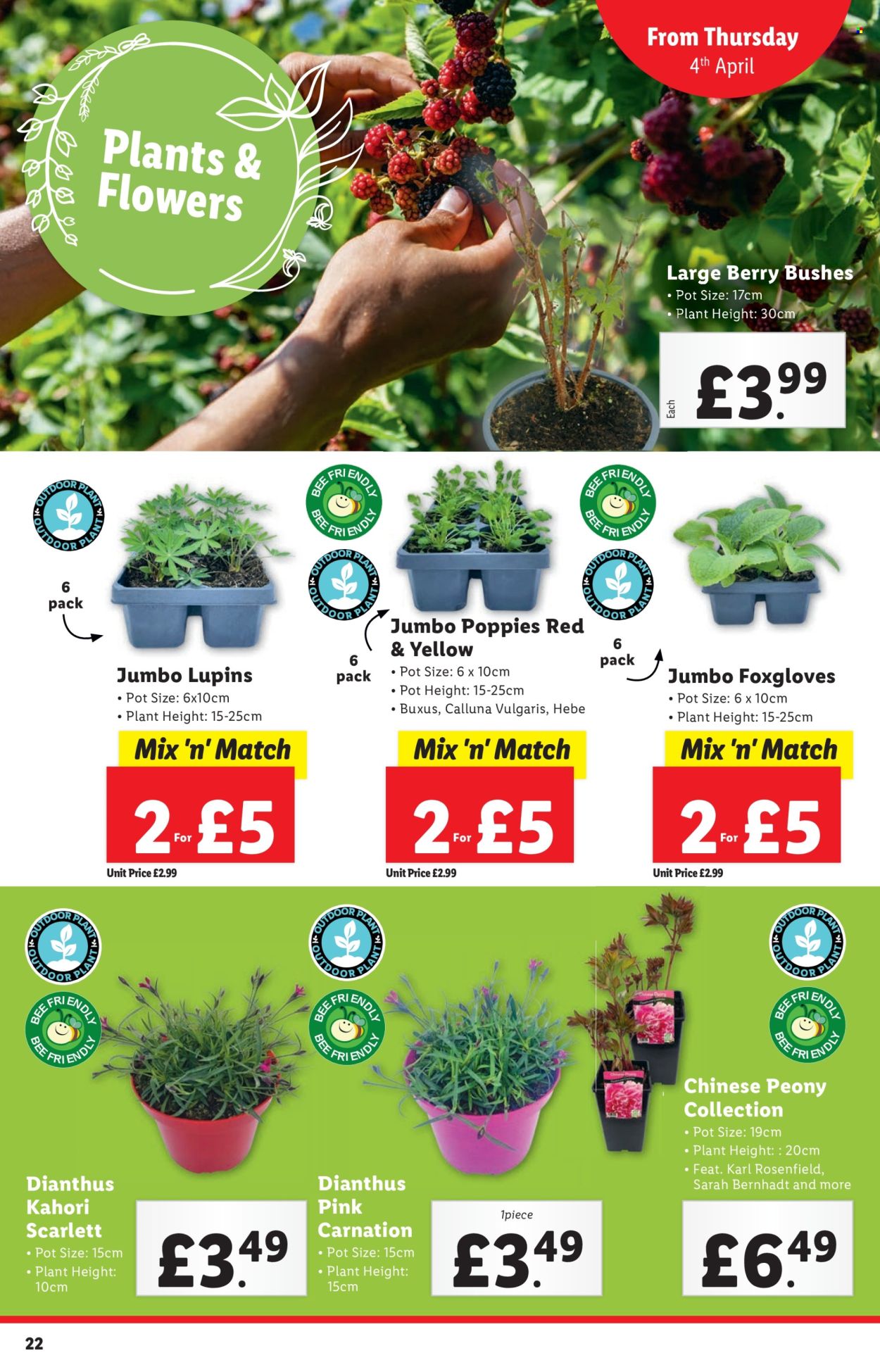 Lidl offer  - 4.4.2024 - 10.4.2024. Page 22.