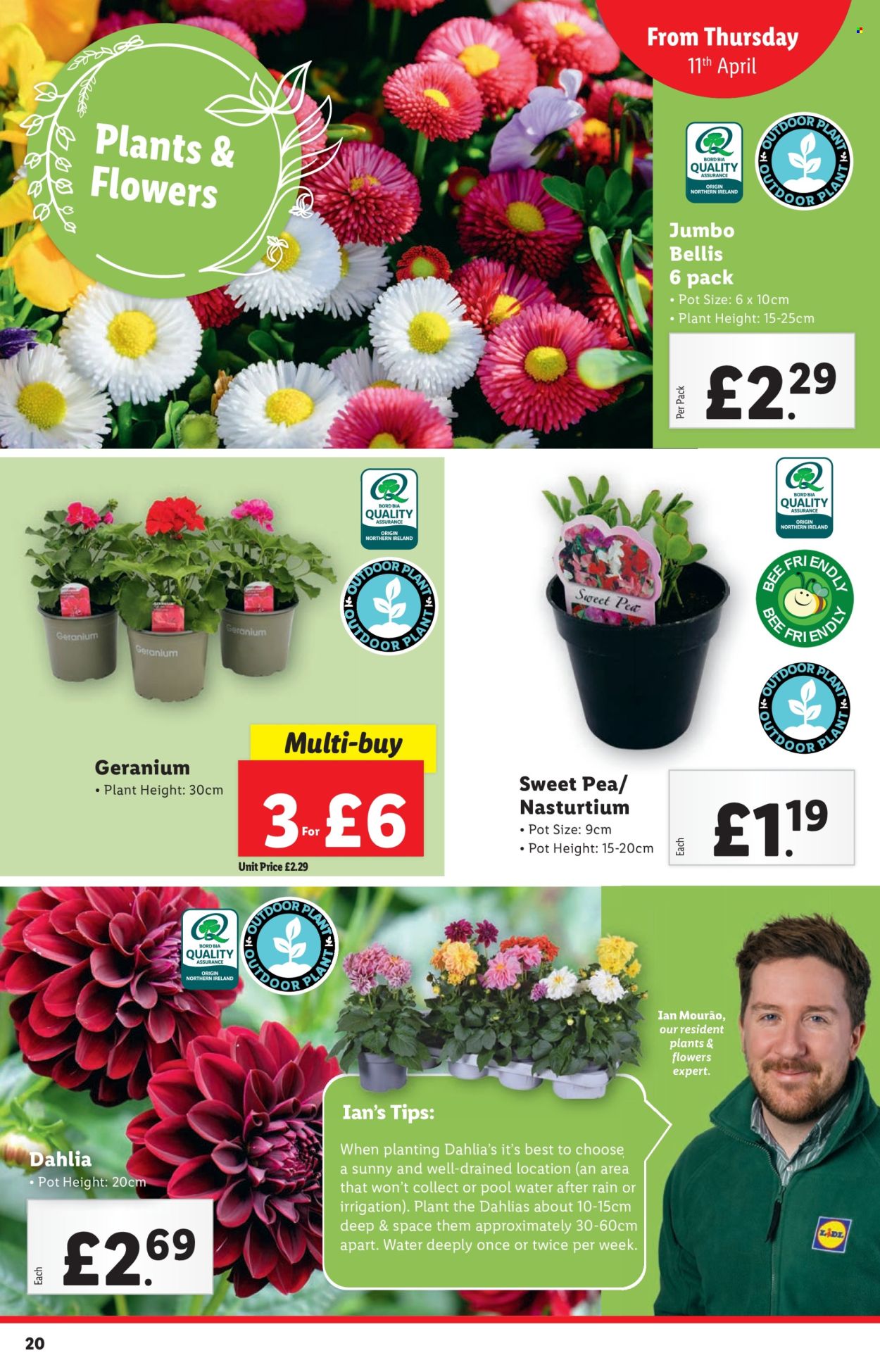 Lidl offer  - 11.4.2024 - 17.4.2024. Page 20.
