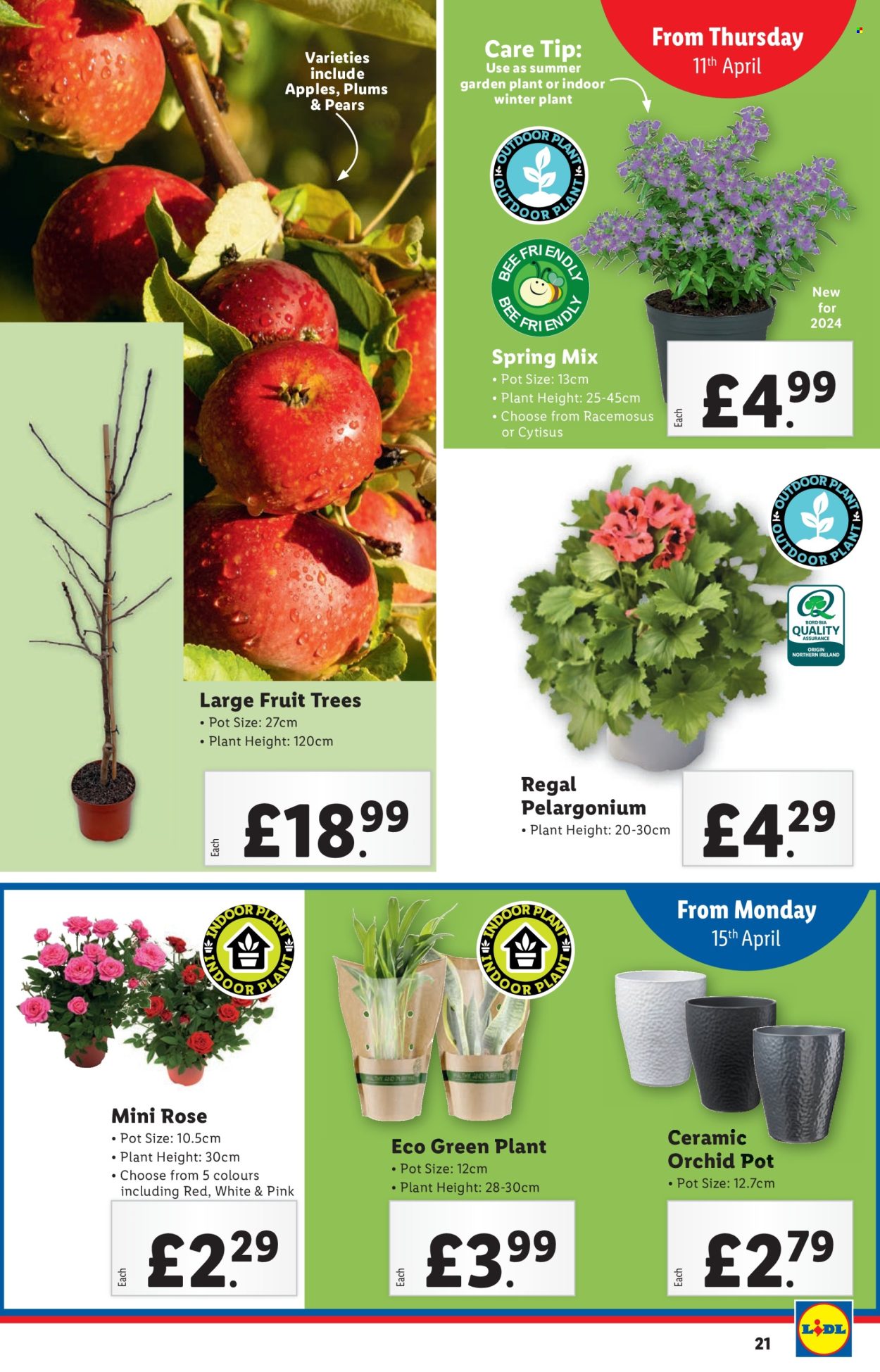 Lidl offer  - 11.4.2024 - 17.4.2024. Page 21.