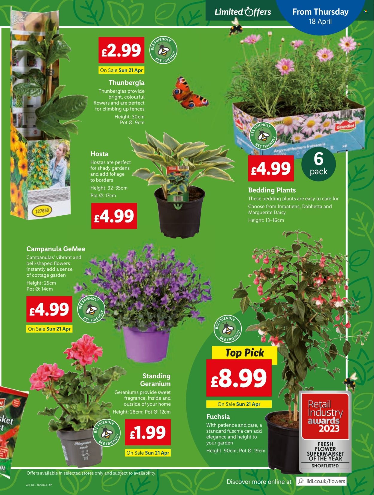 Lidl offer  - 18.4.2024 - 24.4.2024. Page 19.