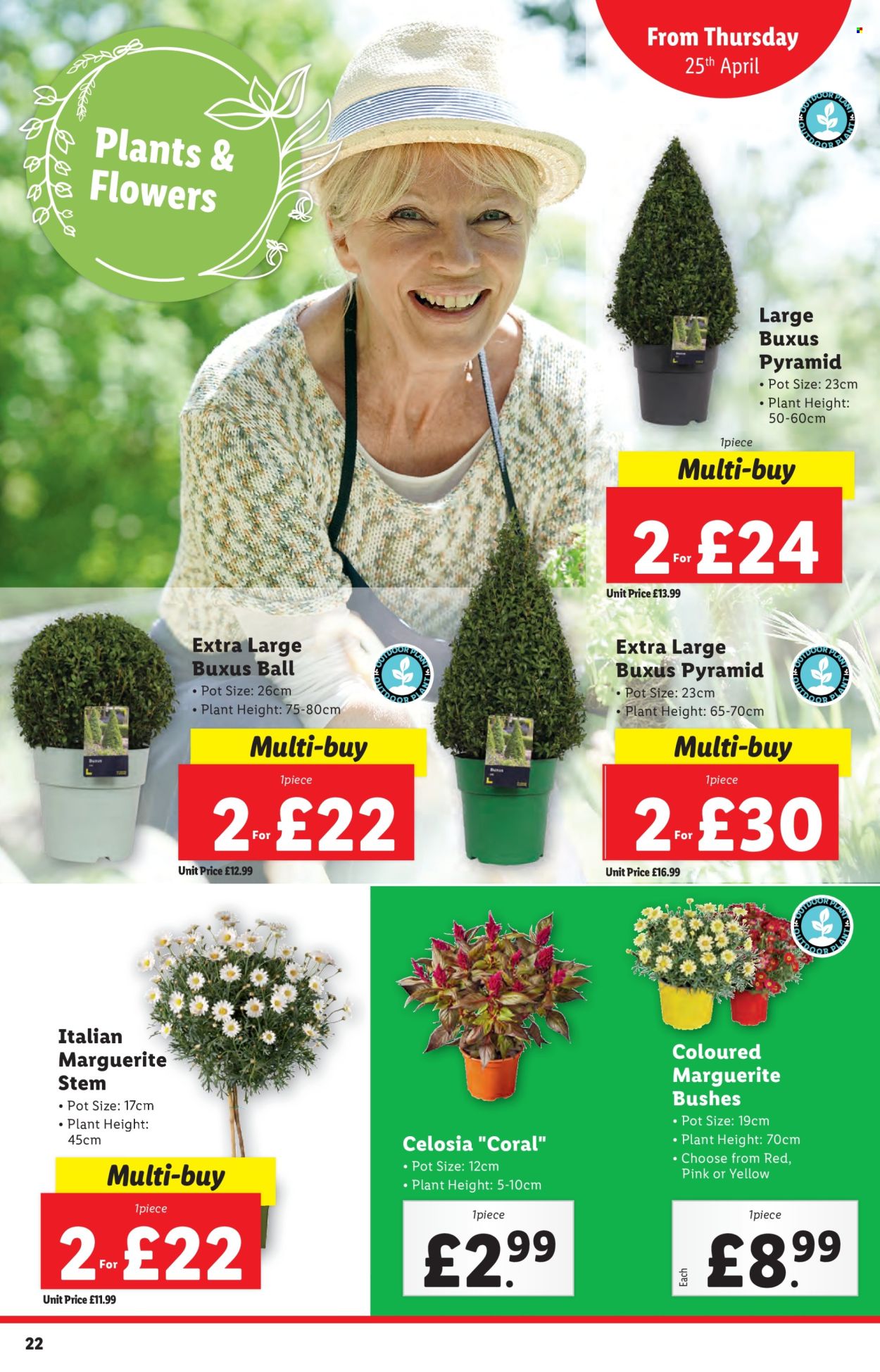 Lidl offer  - 23.4.2024 - 23.4.2024. Page 22.