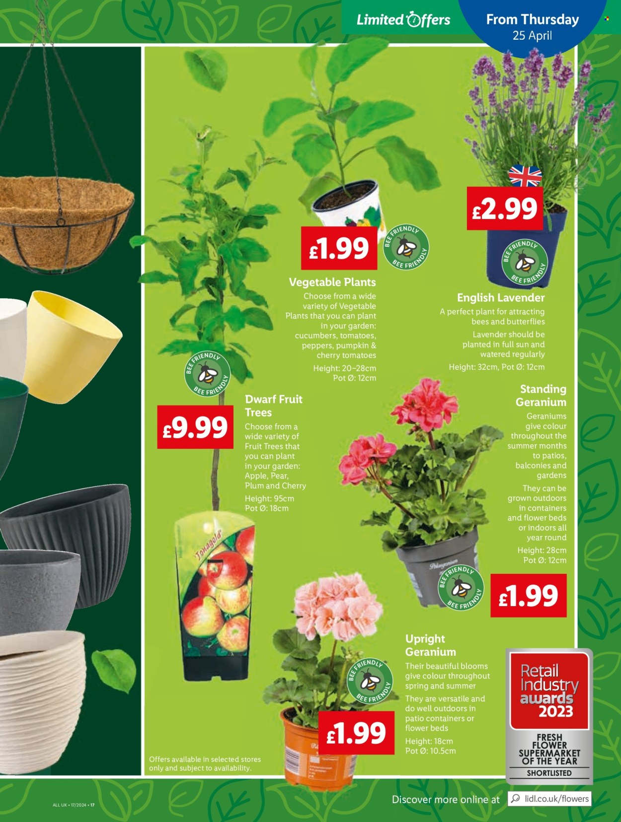 Lidl offer  - 23.4.2024 - 23.4.2024. Page 19.