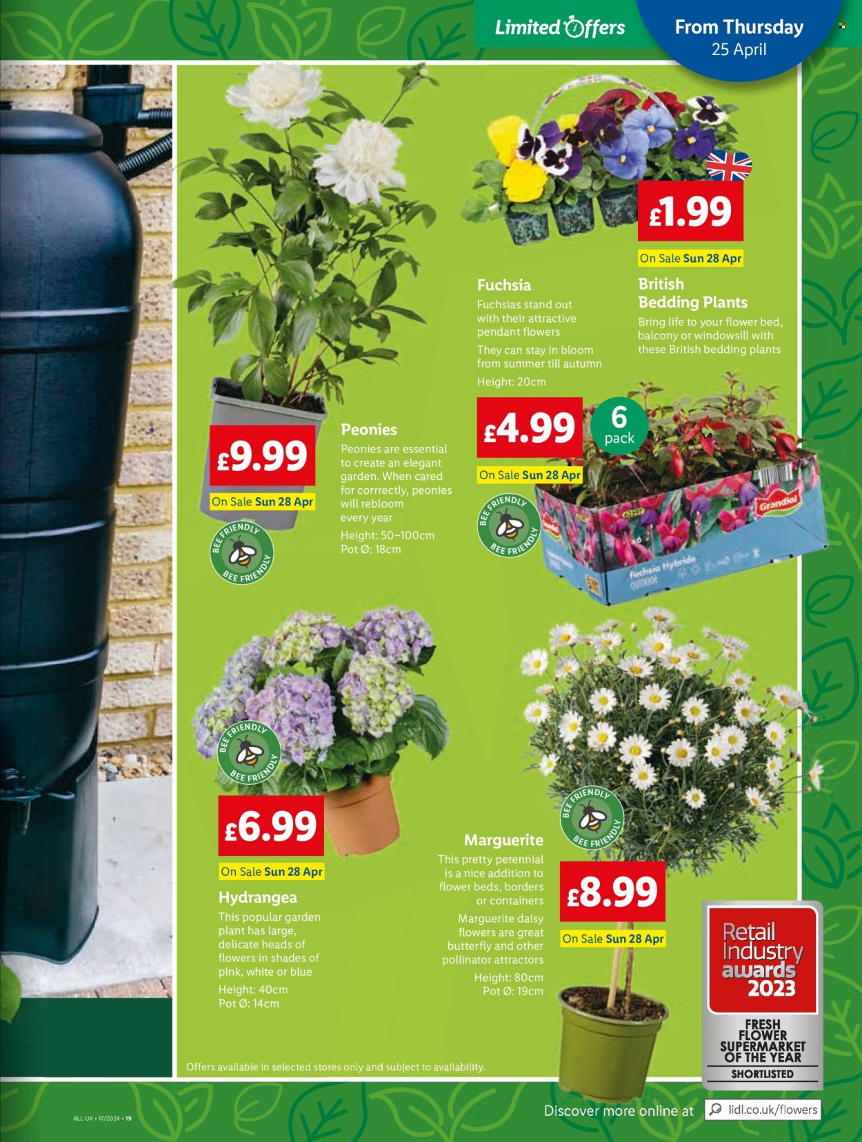 Lidl offer  - 23.4.2024 - 23.4.2024. Page 21.
