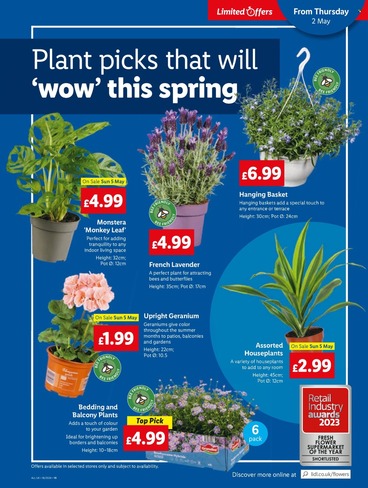 Lidl offer  - 2.5.2024 - 3.5.2024. Page 21.
