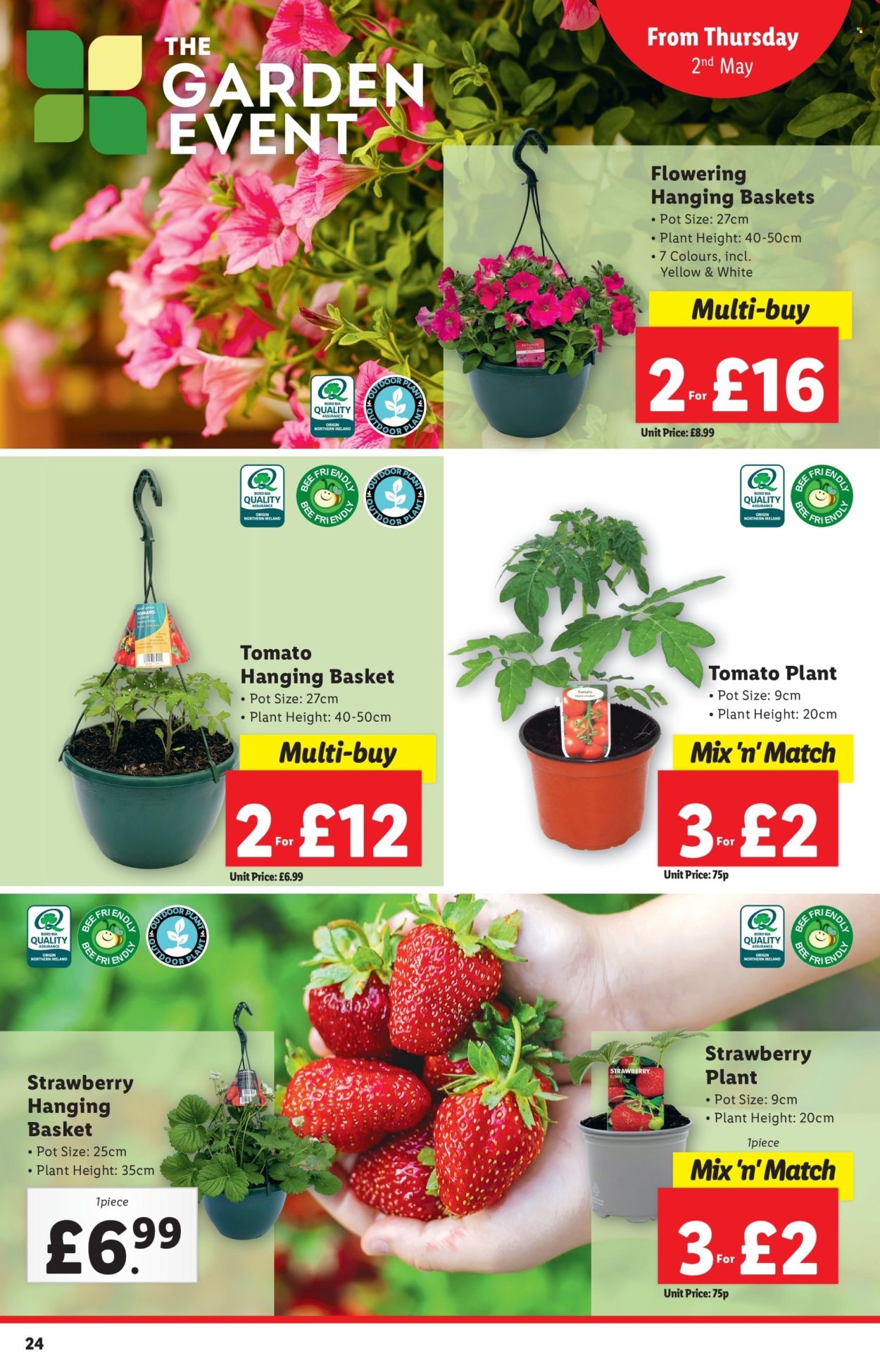 Lidl offer  - 2.5.2024 - 8.5.2024. Page 24.