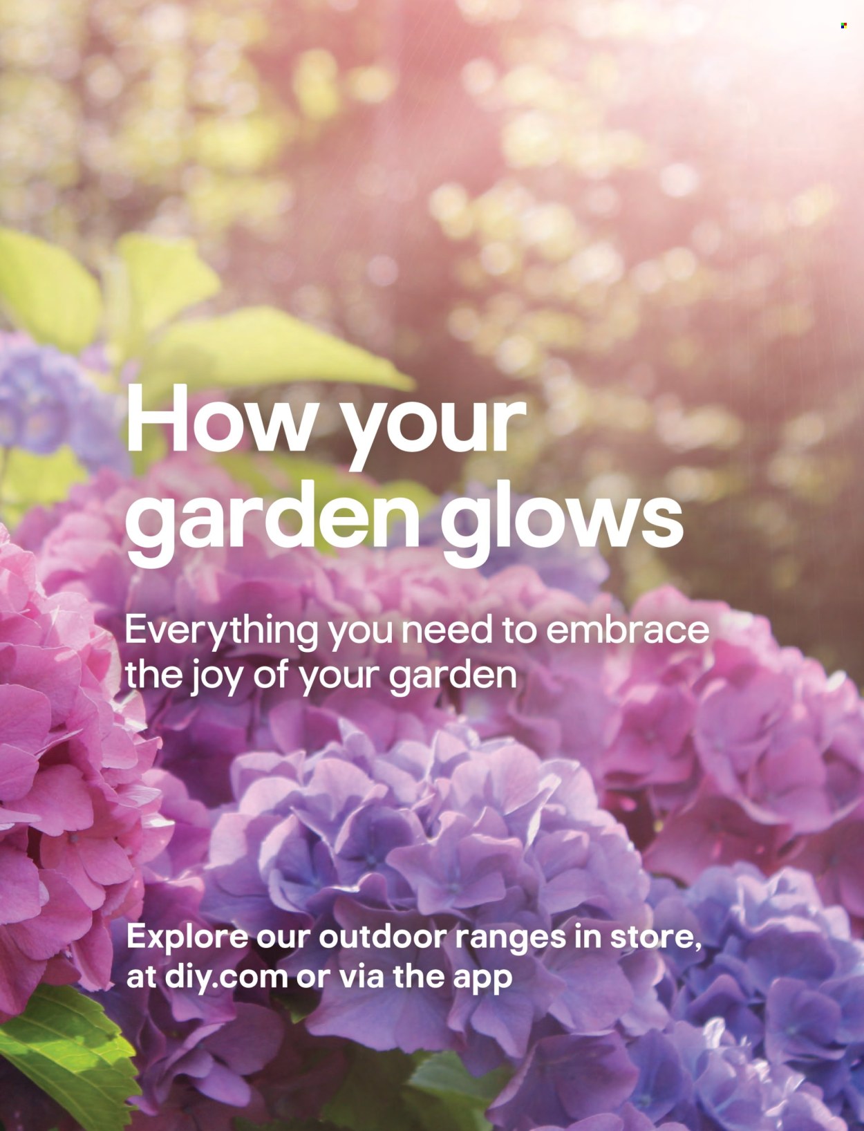 B&Q offer . Page 3.