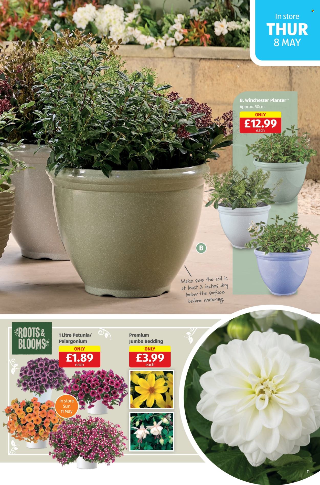 Aldi offer  - 8.5.2025 - 11.5.2025. Page 11.