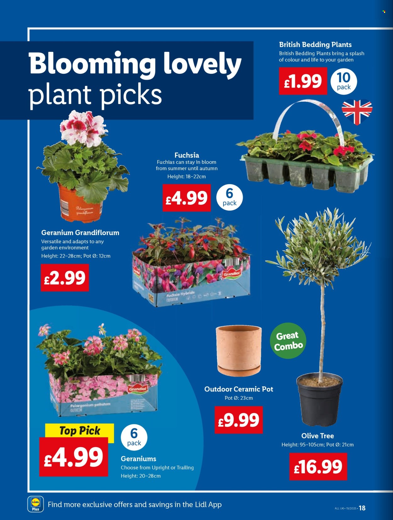 Lidl offer  - 8.5.2025 - 14.5.2025. Page 18.