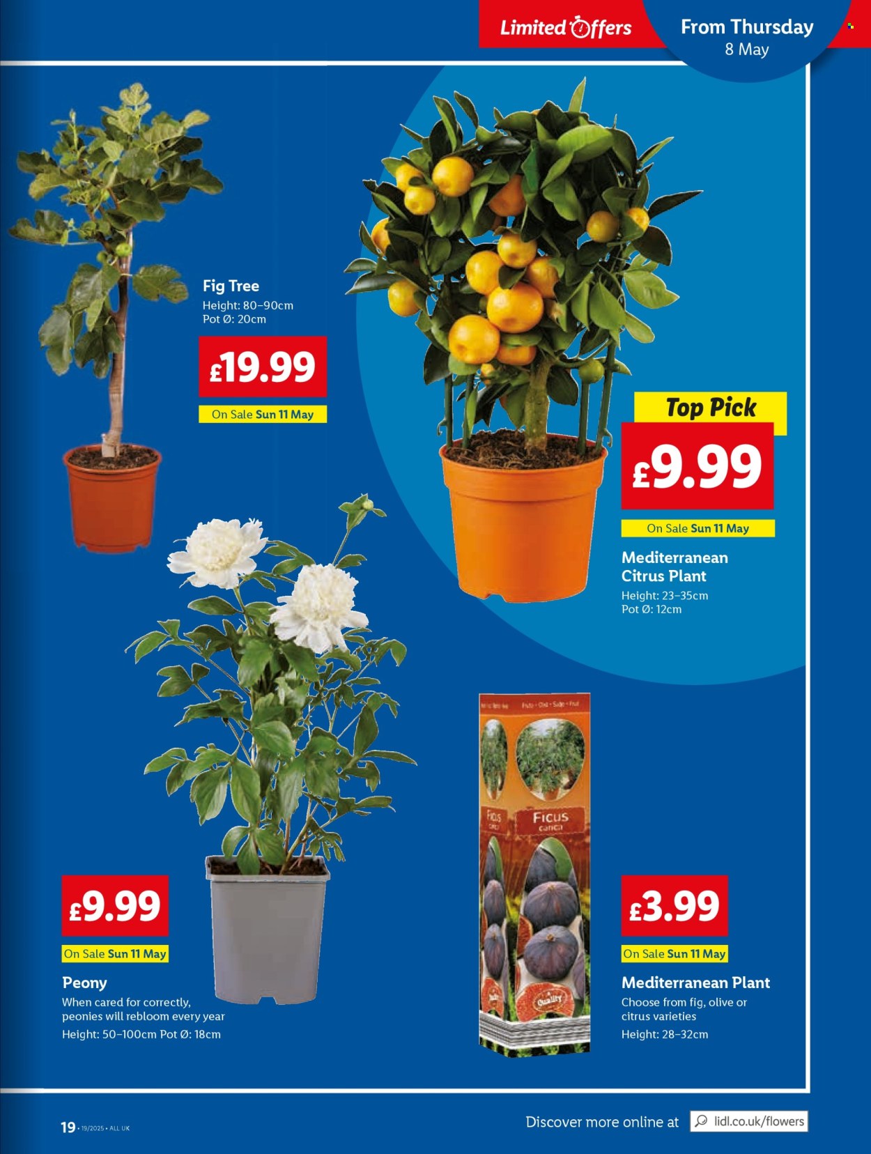 Lidl offer  - 8.5.2025 - 14.5.2025. Page 19.