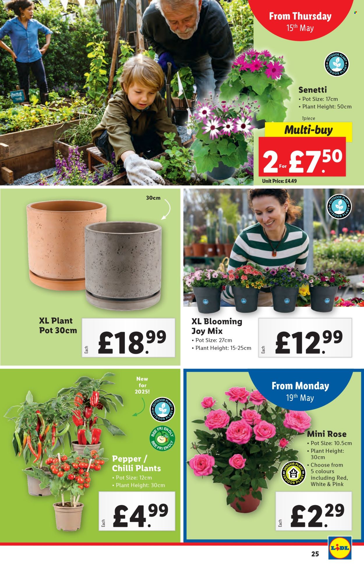 Lidl offer  - 15.5.2025 - 21.5.2025. Page 25.