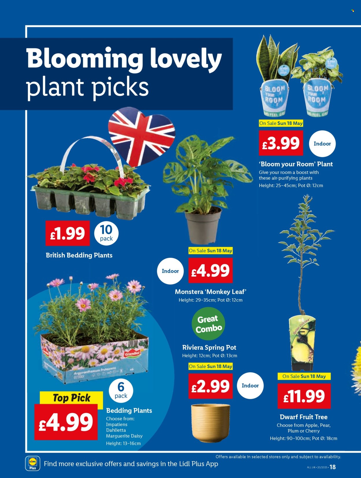 Lidl offer  - 15.5.2025 - 21.5.2025. Page 20.