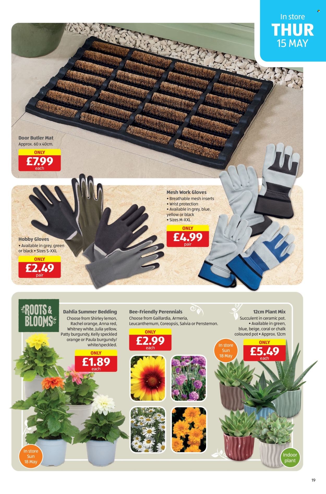 Aldi offer  - 15.5.2025 - 18.5.2025. Page 19.