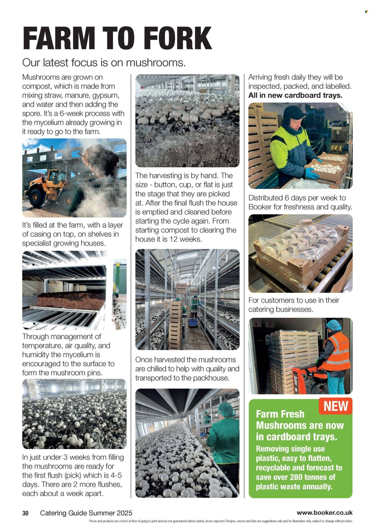 Makro offer  - 18.6.2025 - 7.10.2025. Page 30. Page 30