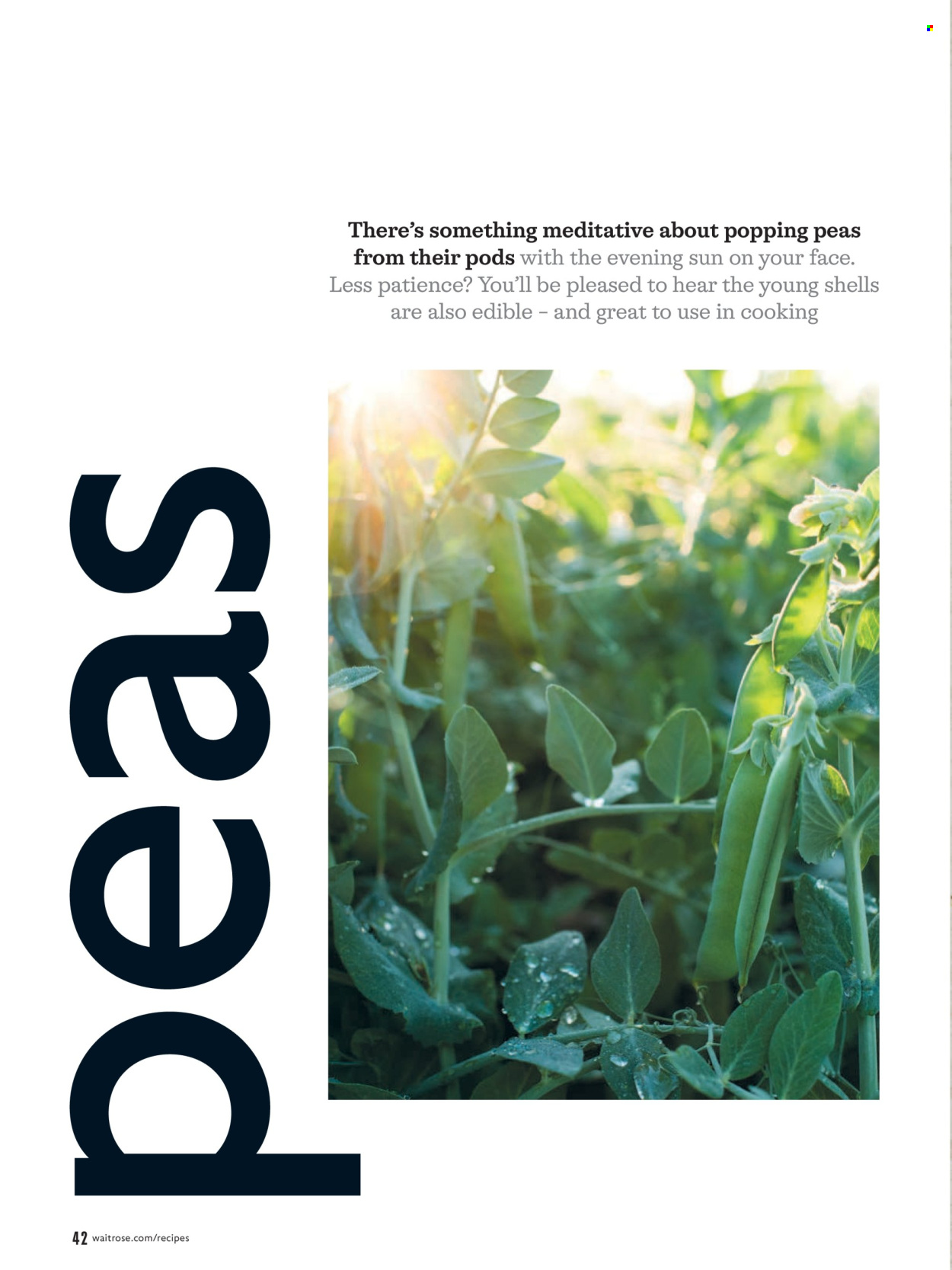 Waitrose offer  - 1.6.2026 - 30.6.2026. Page 42. Page 42