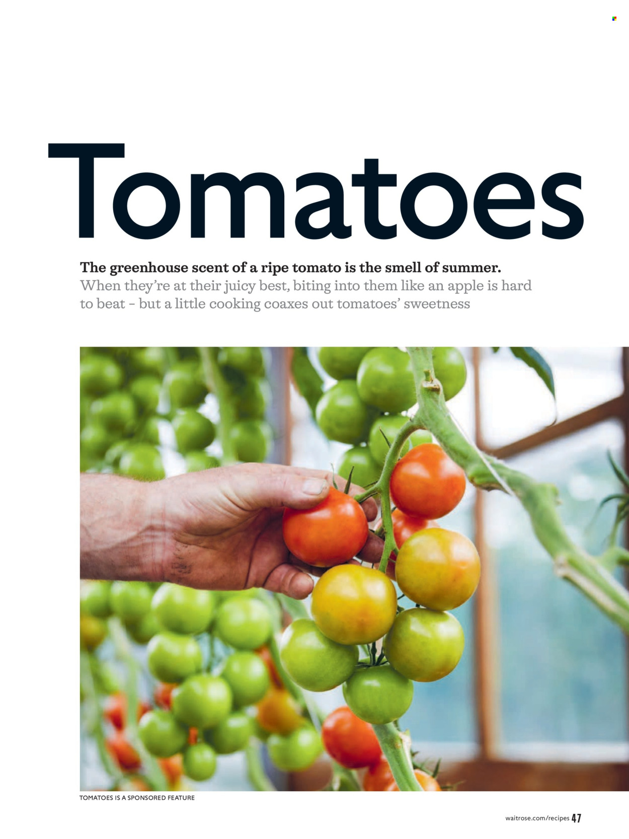 Waitrose offer  - 1.6.2026 - 30.6.2026. Page 47. Page 47