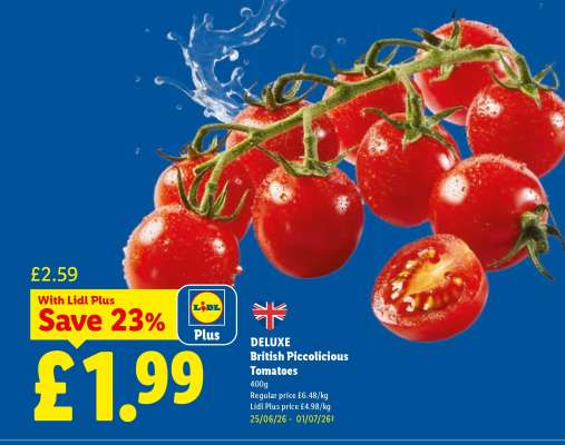 DELUXE British Piccolicious Tomatoes
