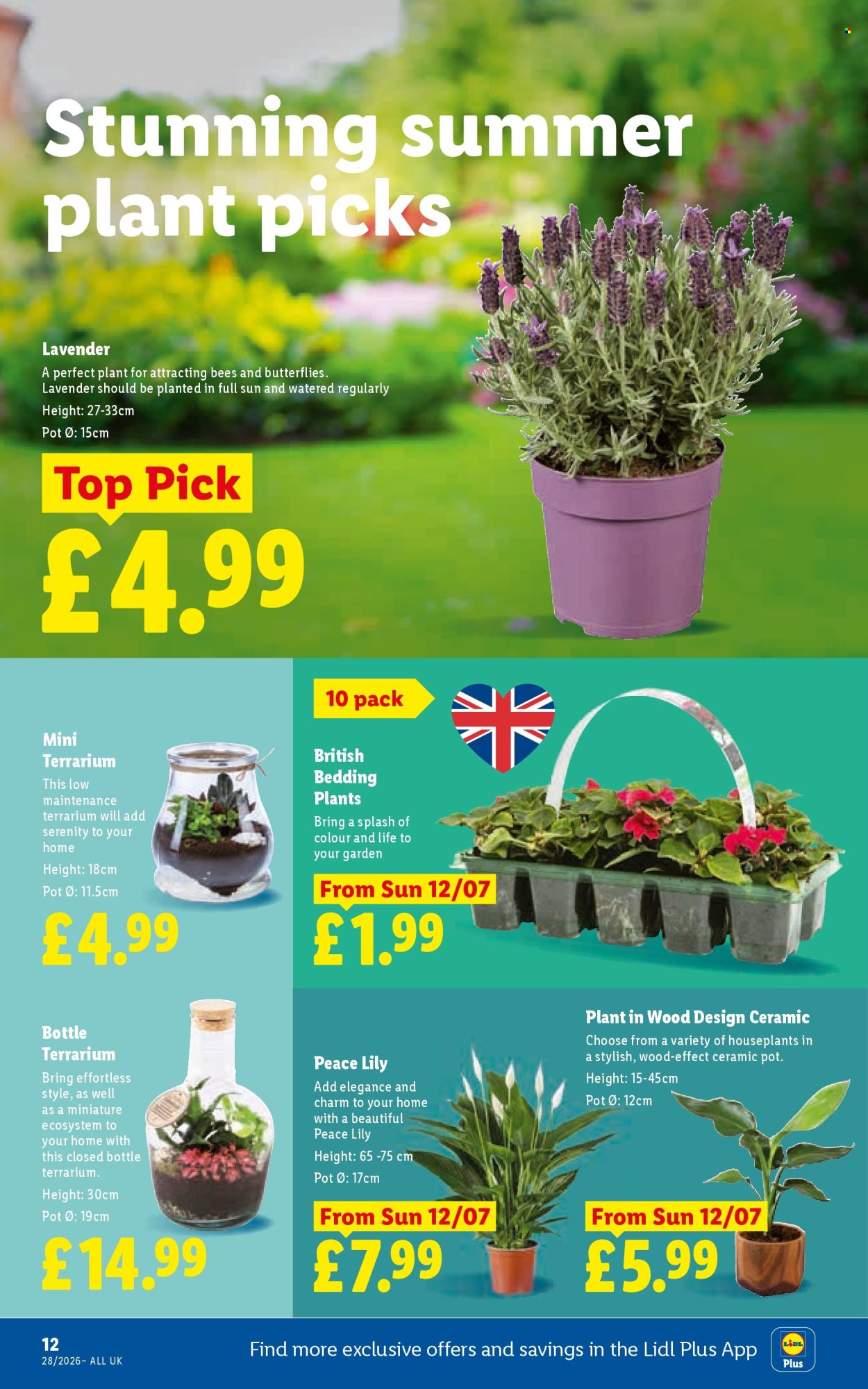 Lidl offer  - 9.7.2026 - 15.7.2026. Page 14. Page 14