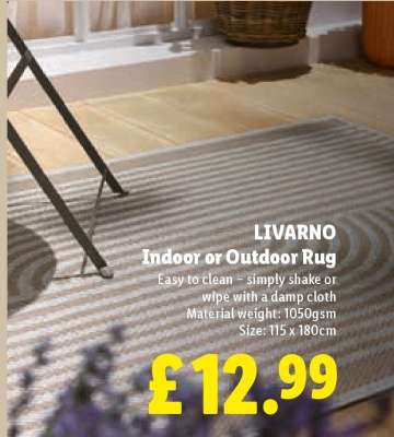 LIVARNO Indoor or Outdoor Rug