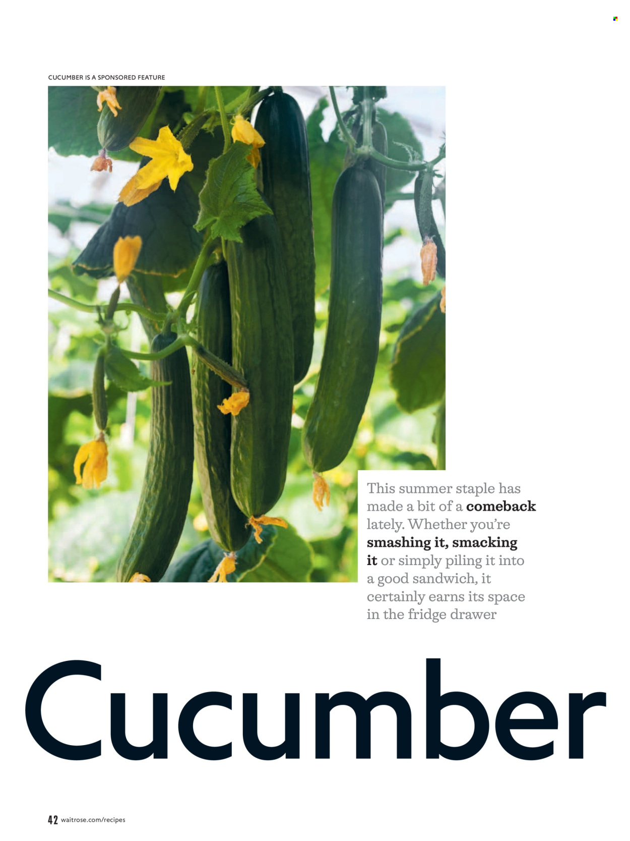 Waitrose offer  - 1.7.2026 - 31.8.2026. Page 42. Page 42