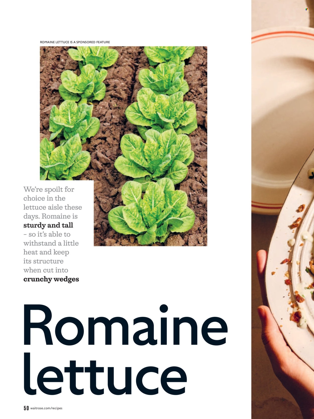 Waitrose offer  - 1.7.2026 - 31.8.2026. Page 50. Page 50