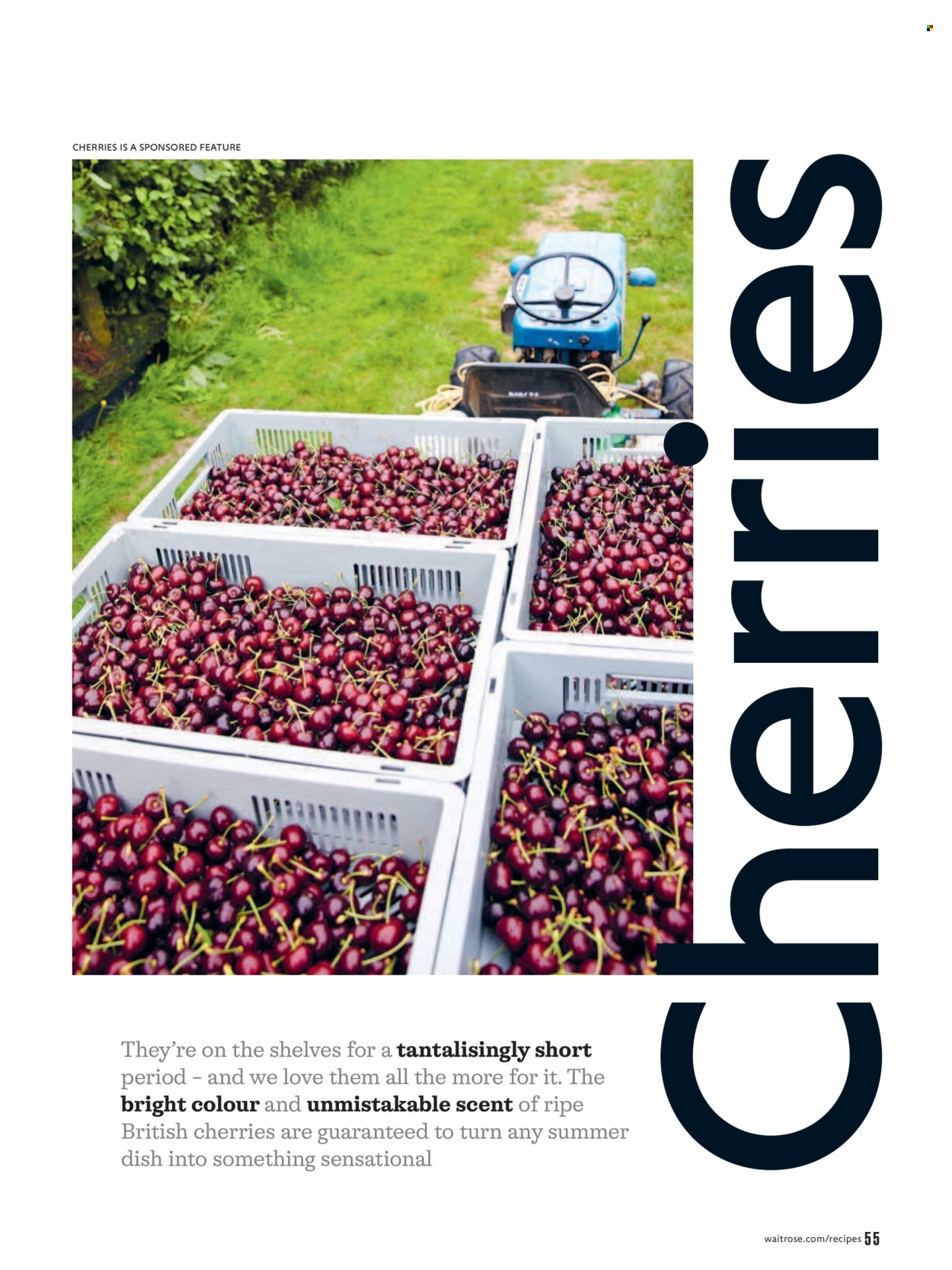 Waitrose offer  - 1.7.2026 - 31.8.2026. Page 55. Page 55