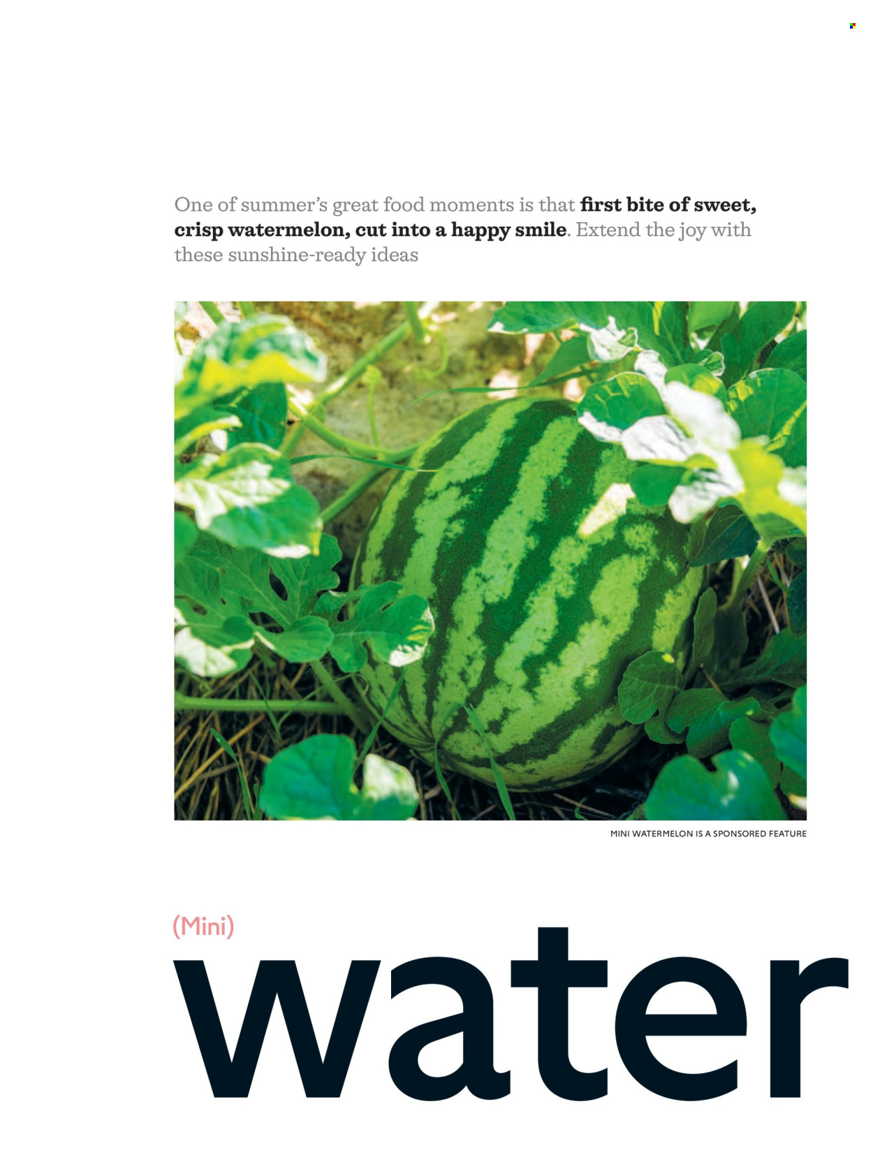 Waitrose offer  - 1.7.2026 - 31.8.2026. Page 58. Page 58