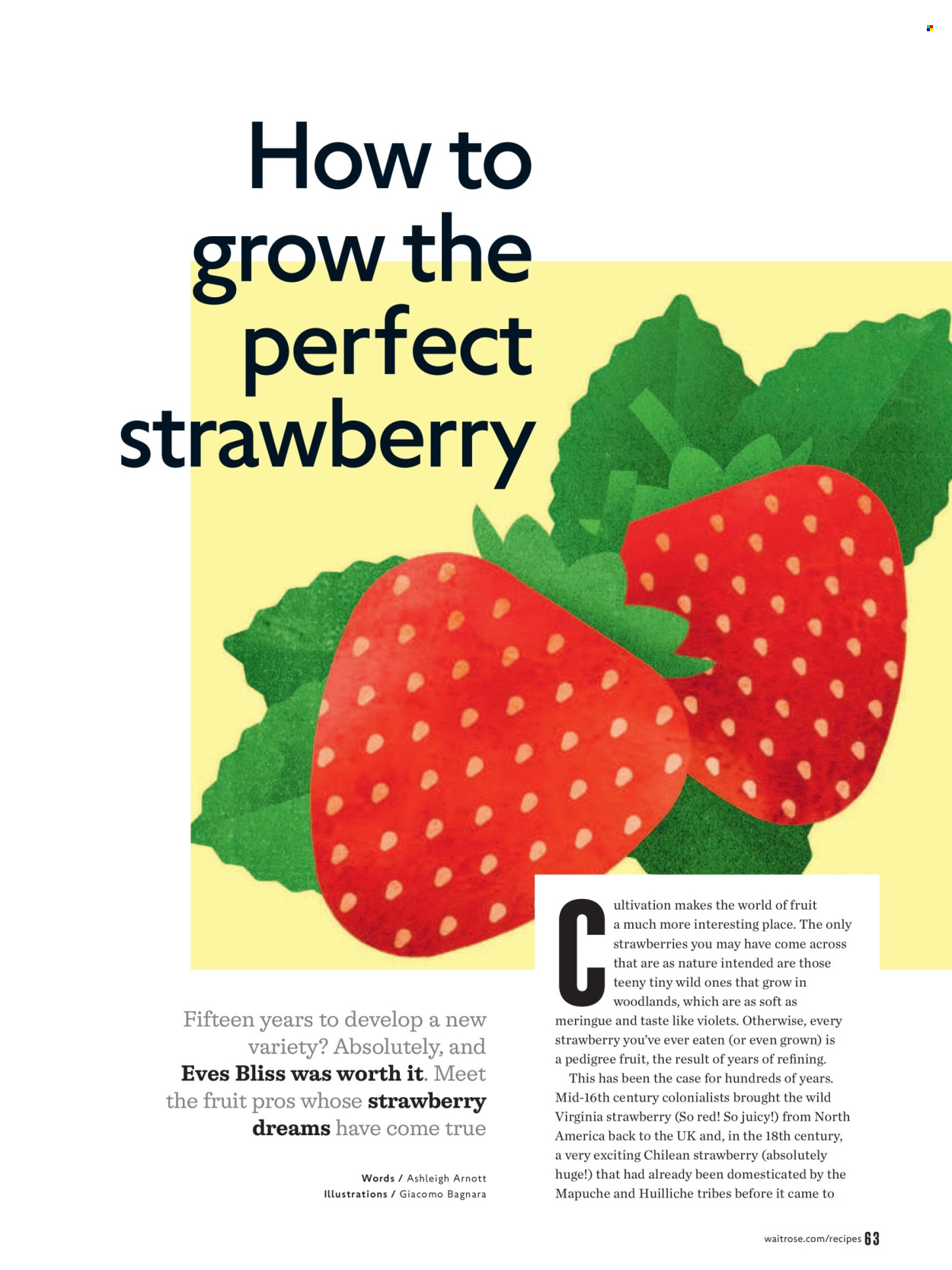 Waitrose offer  - 1.7.2026 - 31.8.2026. Page 63. Page 63