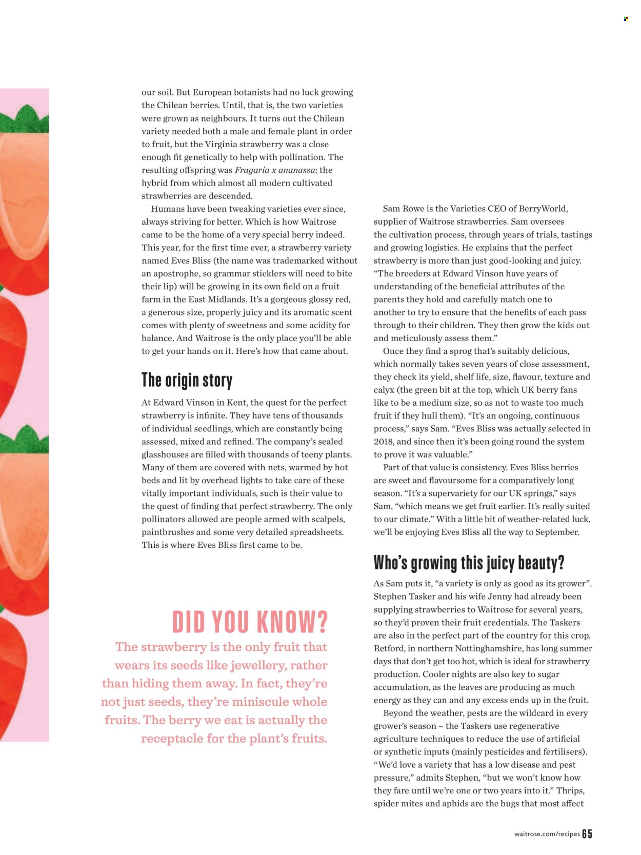 Waitrose offer  - 1.7.2026 - 31.8.2026. Page 65. Page 65