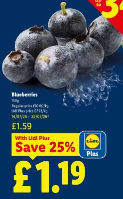 Blueberries