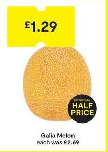 Galia Melon