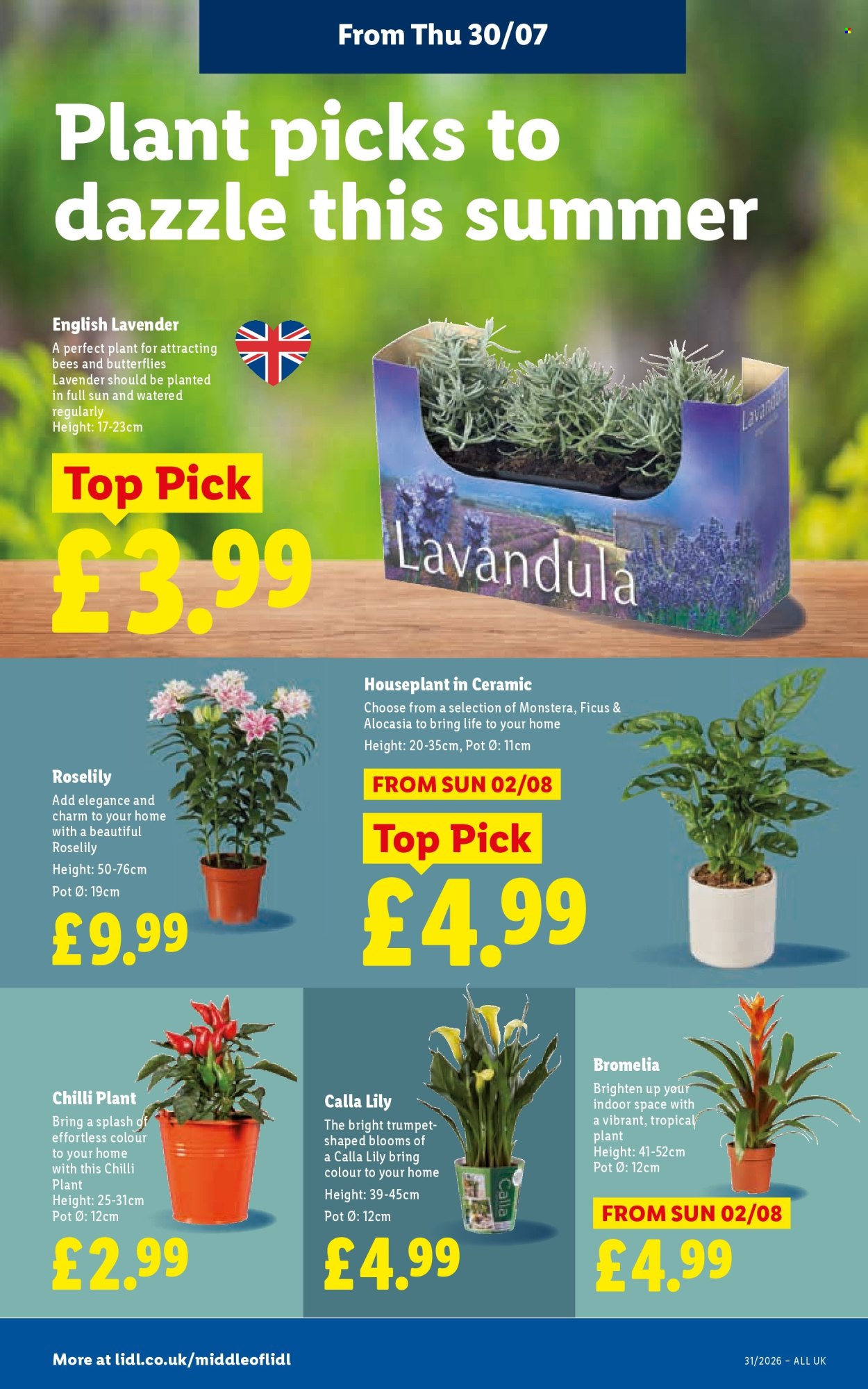 Lidl offer  - 30.7.2026 - 5.8.2026. Page 26. Page 26