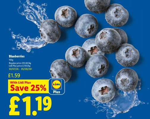 Blueberries
