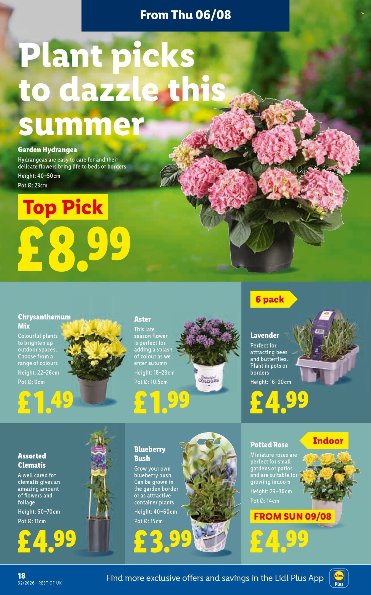 Lidl offer  - 6.8.2026 - 12.8.2026. Page 22. Page 22