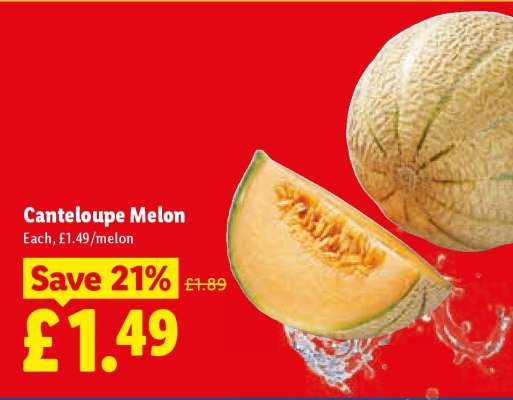 Canteloupe Melon