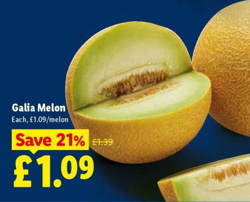 Galia Melon