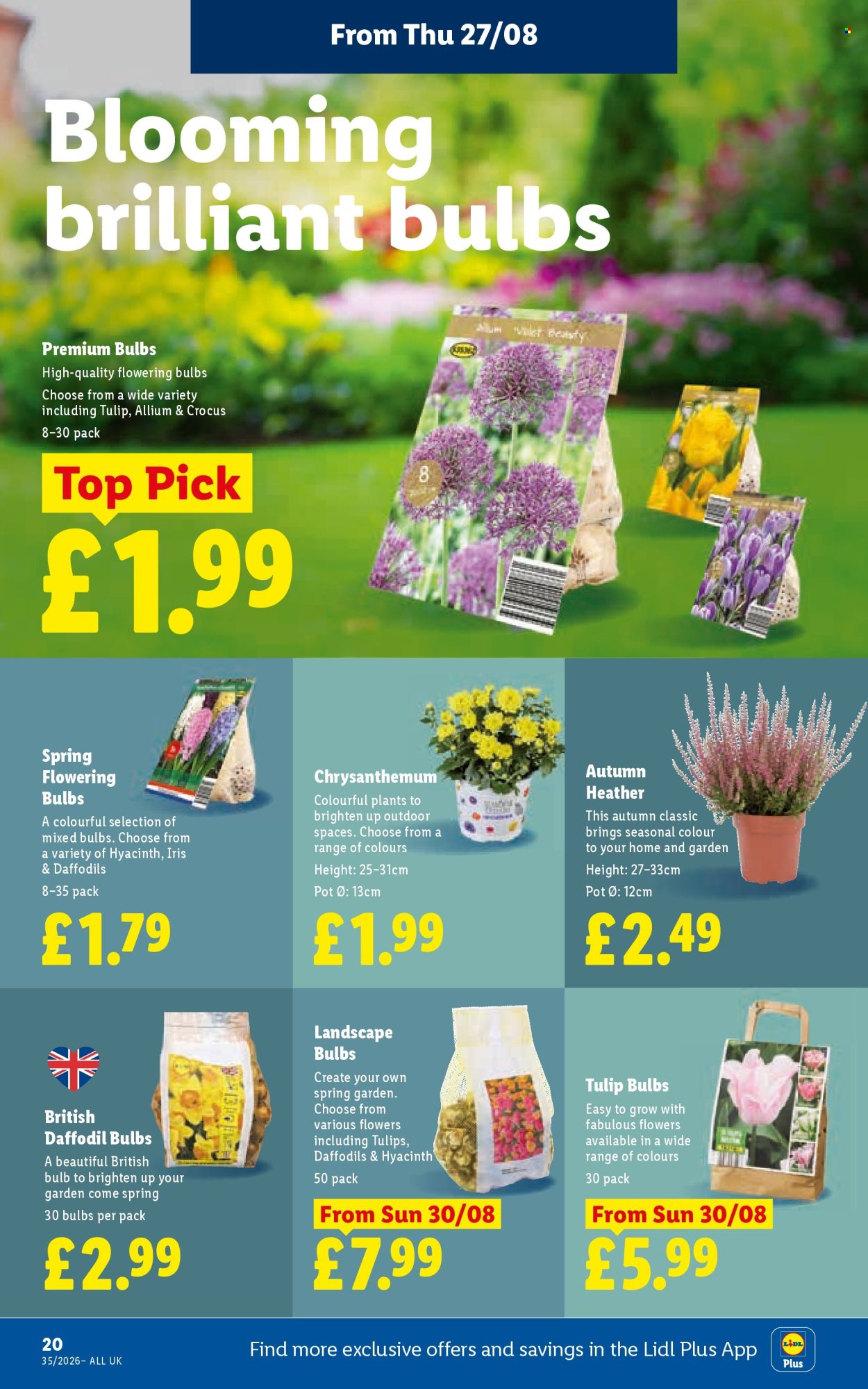 Lidl offer  - 27.8.2026 - 2.9.2026. Page 22. Page 22