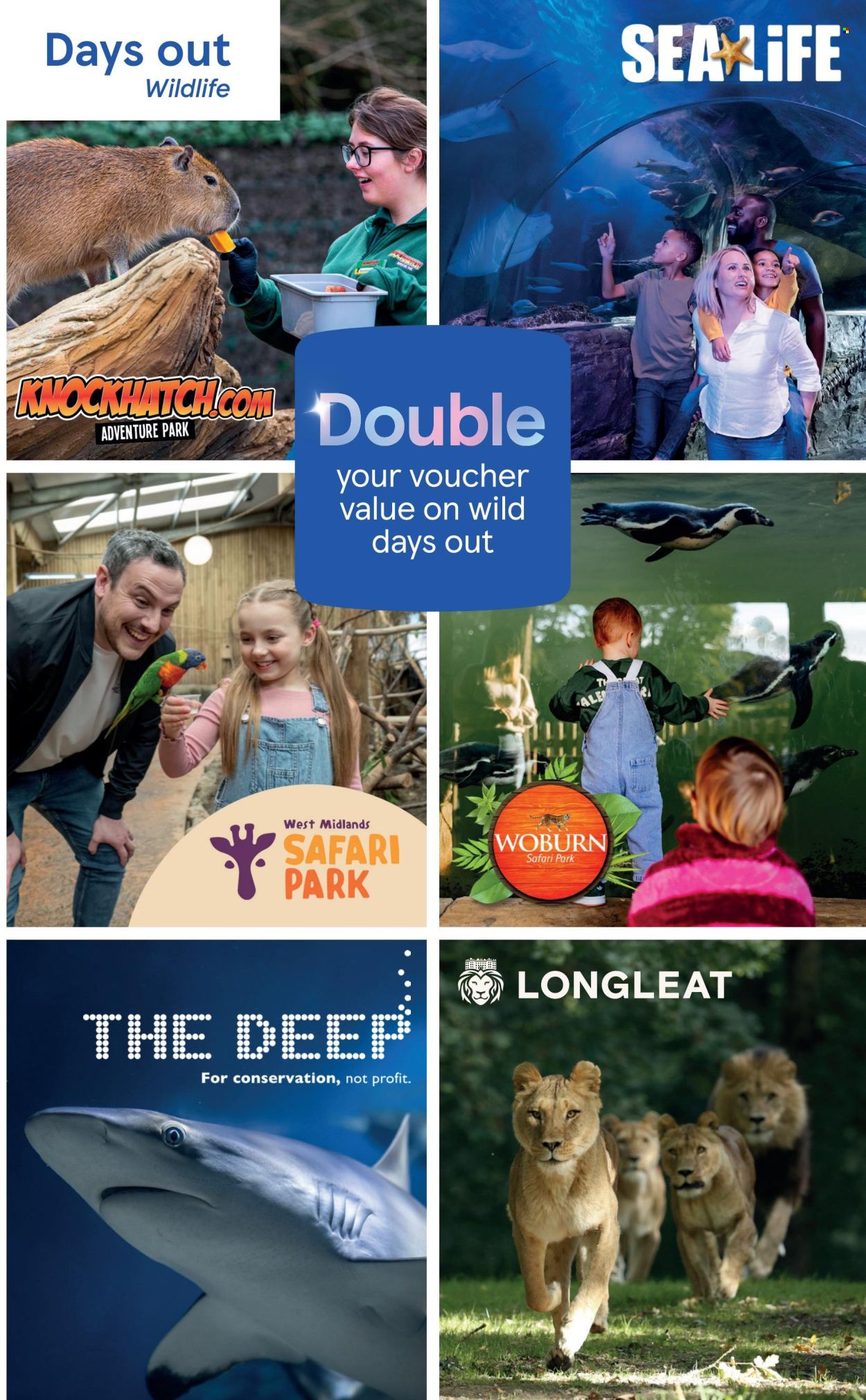 Tesco offer . Page 11. Page 11
