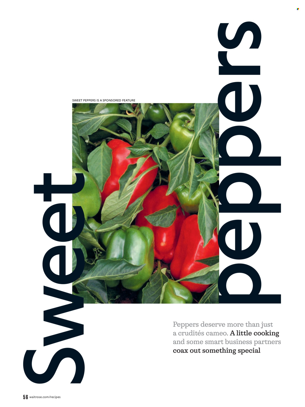 Waitrose offer  - 1.9.2026 - 30.9.2026. Page 56. Page 56