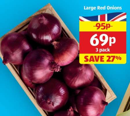 Large Red Onions