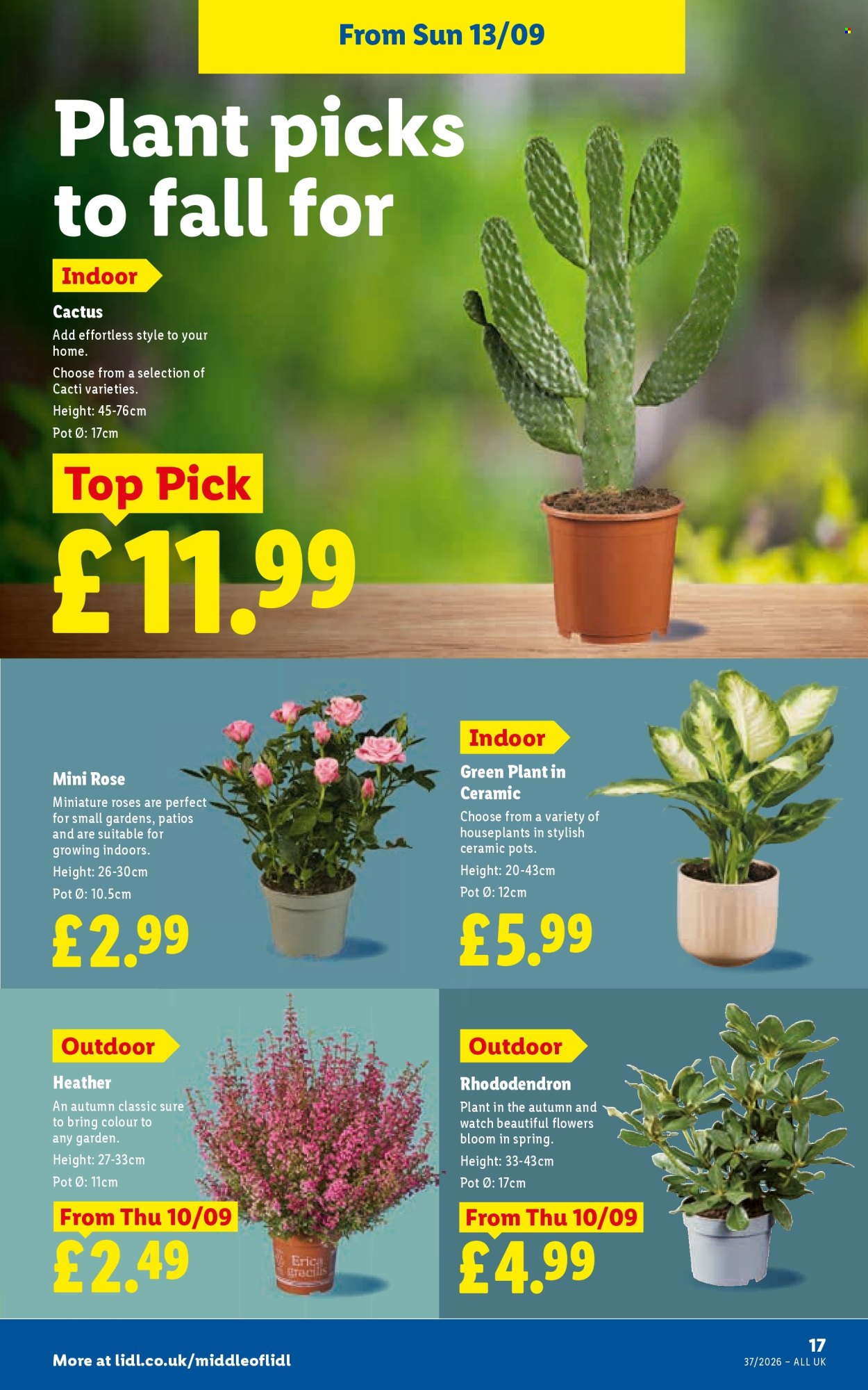 Lidl offer  - 10.9.2026 - 16.9.2026. Page 19. Page 19