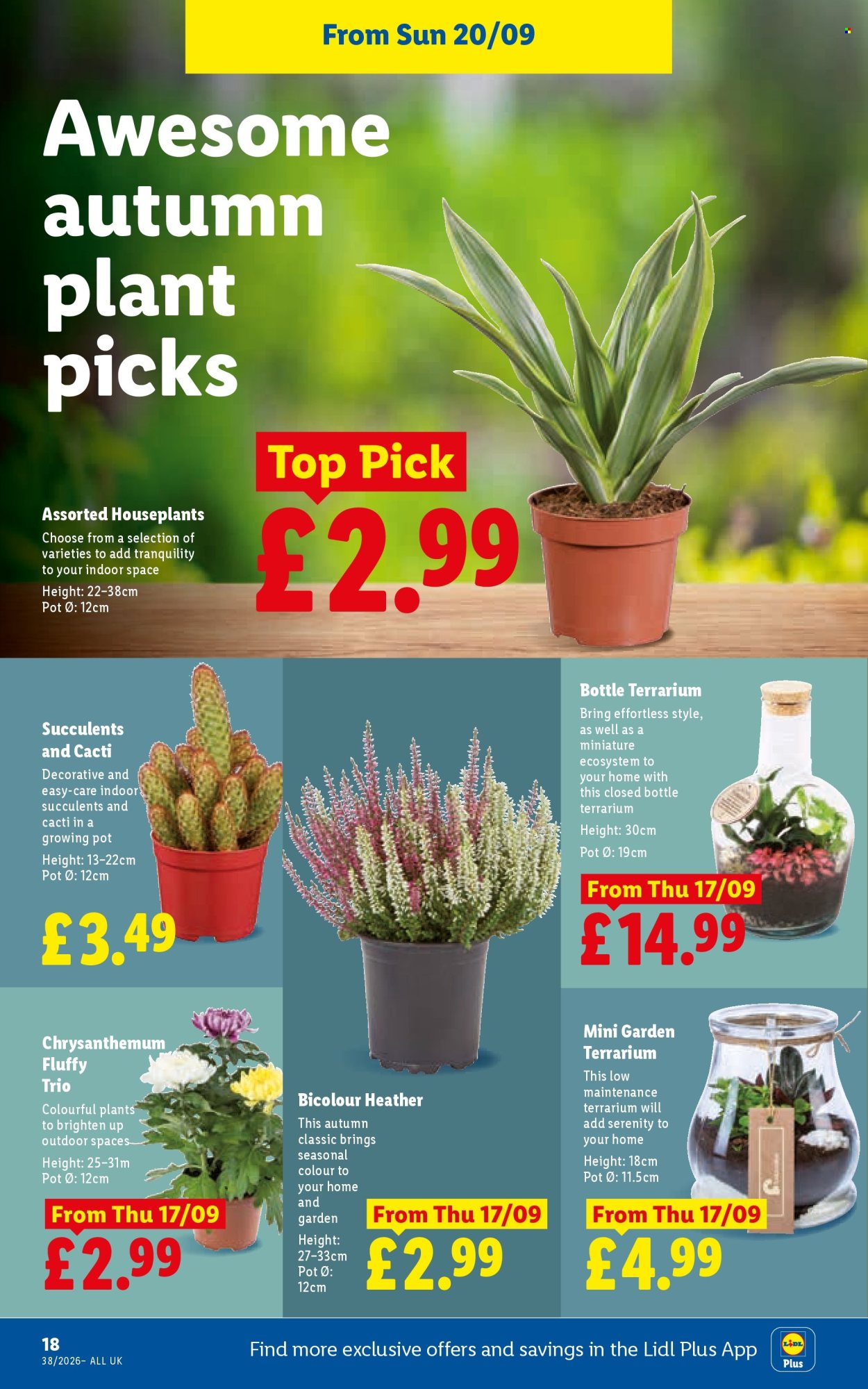 Lidl offer  - 17.9.2026 - 23.9.2026. Page 20. Page 20