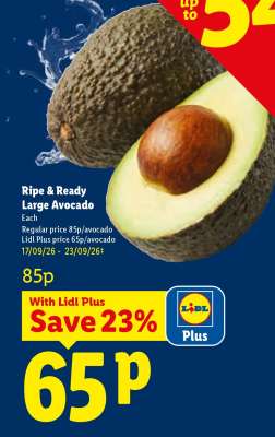 Ripe & Ready Large Avocado