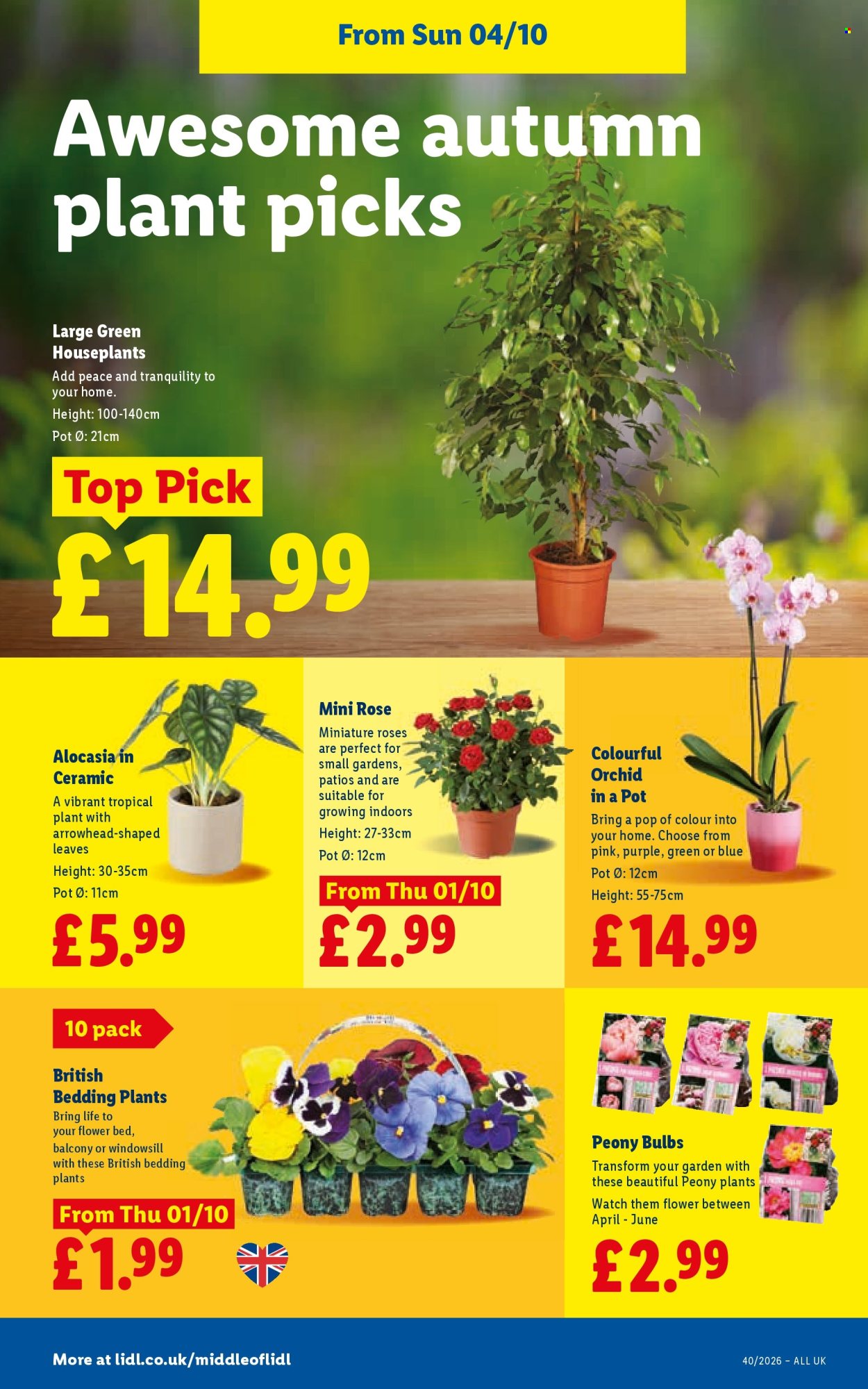 Lidl offer  - 1.10.2026 - 7.10.2026. Page 32. Page 32