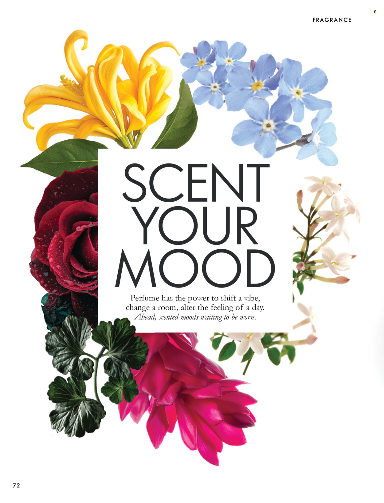 Oriflame offer  - 30.9.2026 - 10.11.2026. Page 72. Page 72