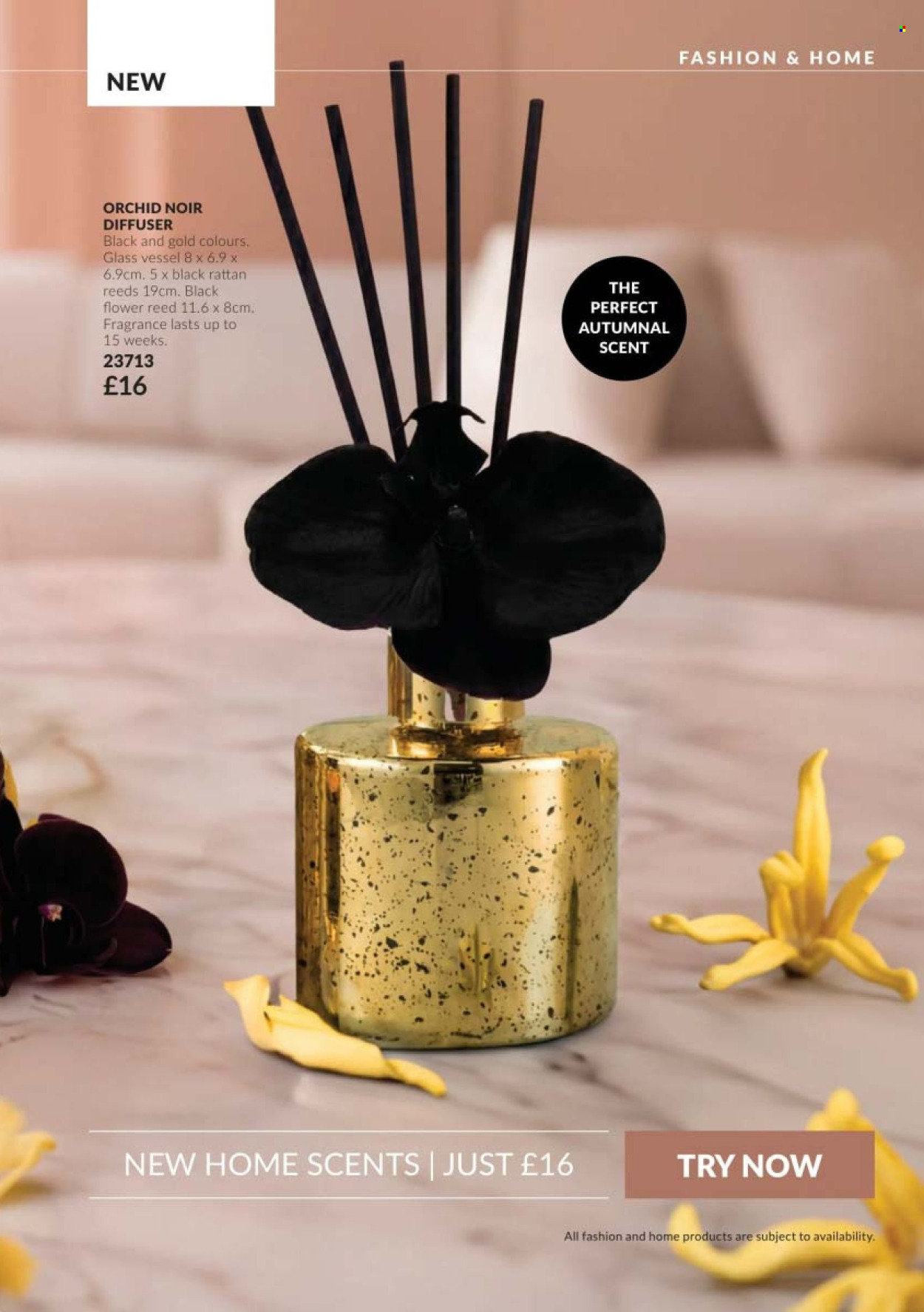 Avon offer  - 1.10.2026 - 31.10.2026. Page 139. Page 139
