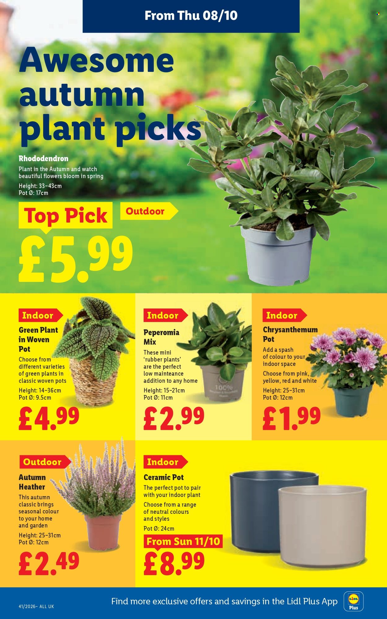 Lidl offer  - 8.10.2026 - 14.10.2026. Page 26. Page 26