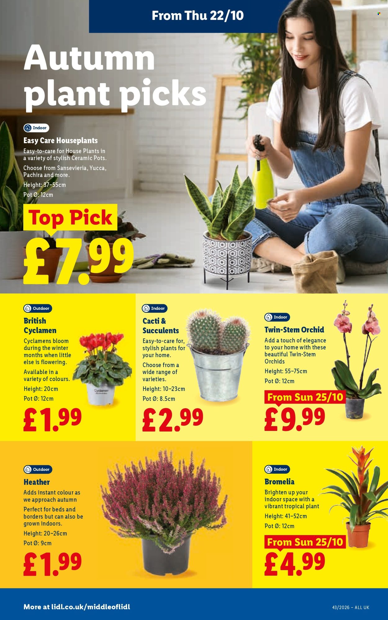 Lidl offer  - 22.10.2026 - 28.10.2026. Page 28. Page 28