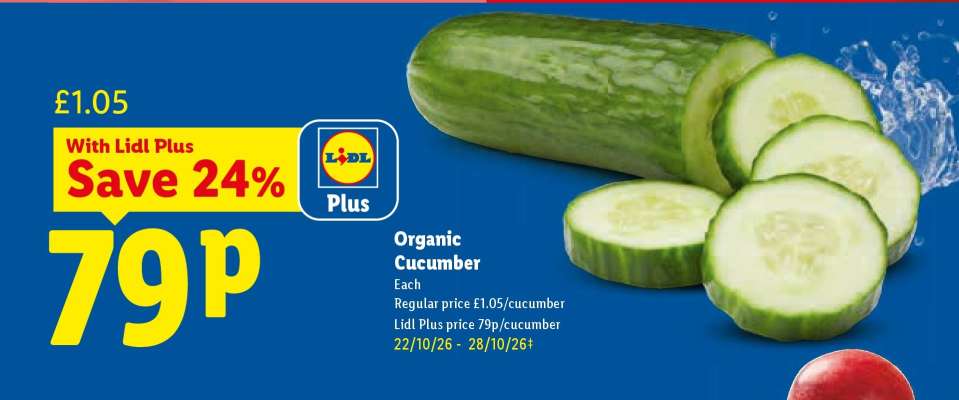 Organic Cucumber